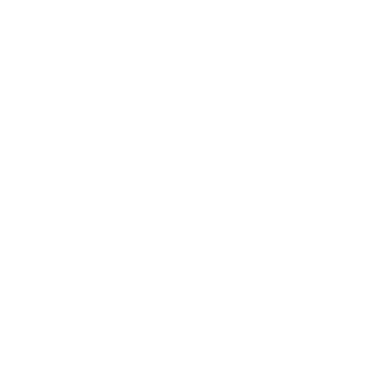 Globe Icon